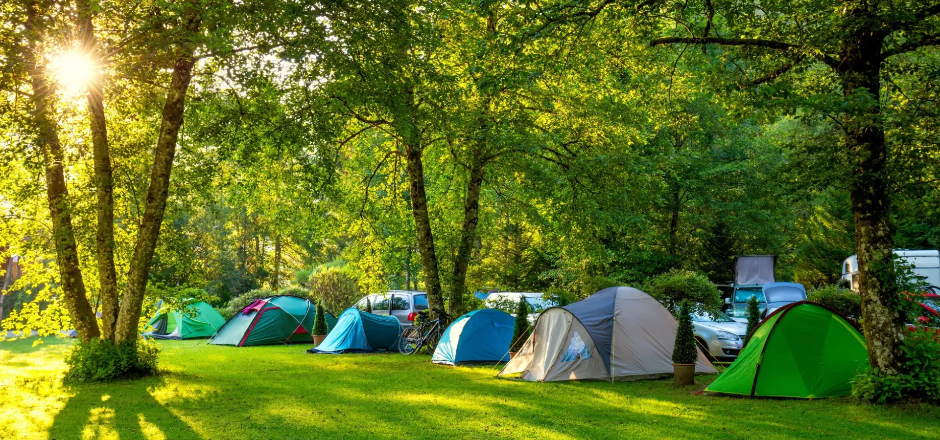 We love camping