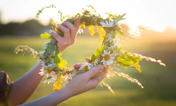 Midsommarkrans i solsken