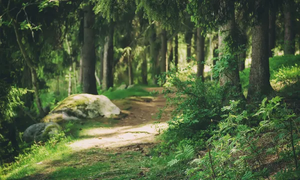 Campingpalatser nära vandringsleder